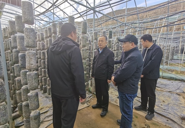 甘肅工程咨詢集團(tuán)赴卓尼縣開展鄉(xiāng)村振興幫…